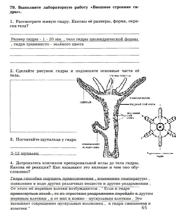 Как пополнить кракен